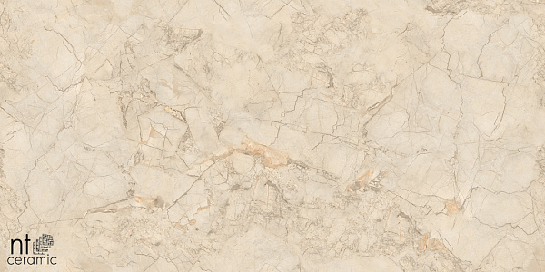 Керамогранит NT Ceramic Marmo Ivory Endless 60x60