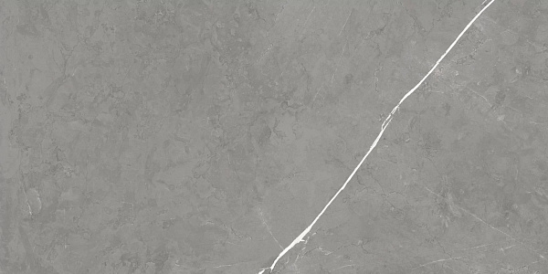 Керамогранит Atlas Concorde Forte Dei Marmi Elegant Grey cerato 60x120