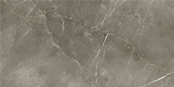 Керамогранит Italon Stellaris Tuscania Grey лаппатированный 60x120