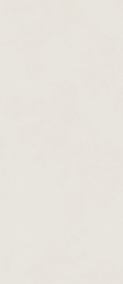 Керамогранит Италон Форум Слим Полар 120x278