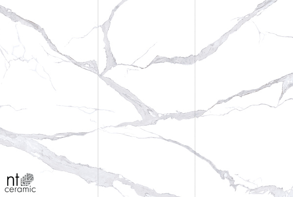 Керамогранит NT Ceramic Atlas Wide Bianco Statuario 120x240