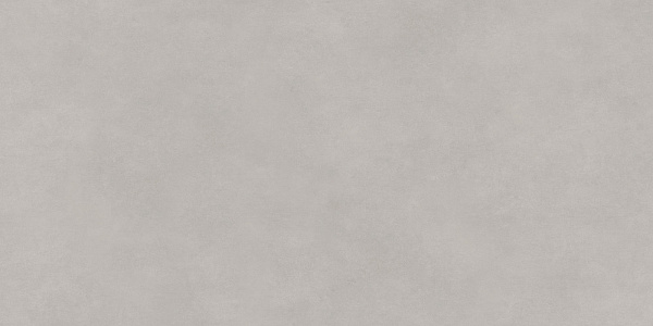 Керамогранит Delacora Life Cement Gray матовый 60x120