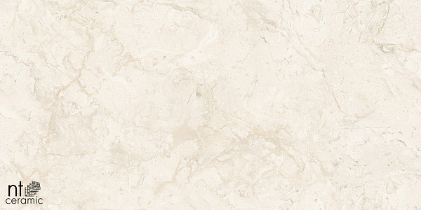 Керамогранит NT Ceramic Gravel Stone Almond Endless 60x120