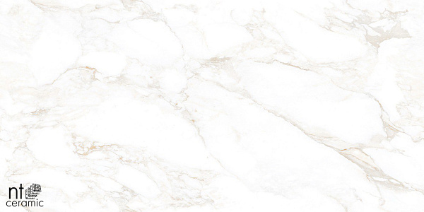 Керамогранит NT Ceramic Marmo Marble Extra Endless 60x120