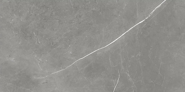 Керамогранит Atlas Concorde Forte Dei Marmi Elegant Grey cerato 60x120