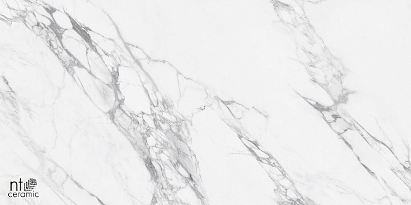 Керамогранит NT Ceramic Marmo Artic statuario  glossy 60x120