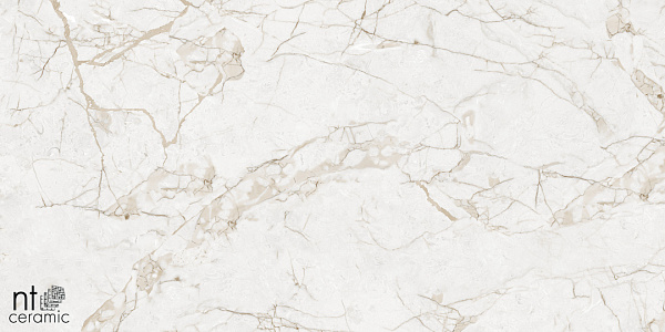Керамогранит NT Ceramic Marmo Impero Grey carving 60x120