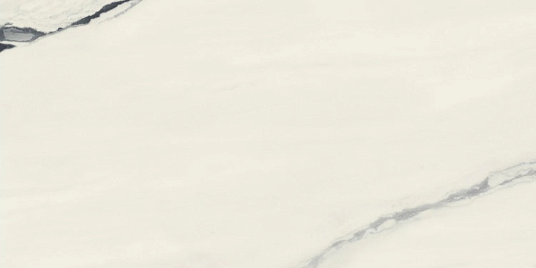 Керамогранит Atlas Concorde Forte Dei Marmi Panda White cerato 60x120