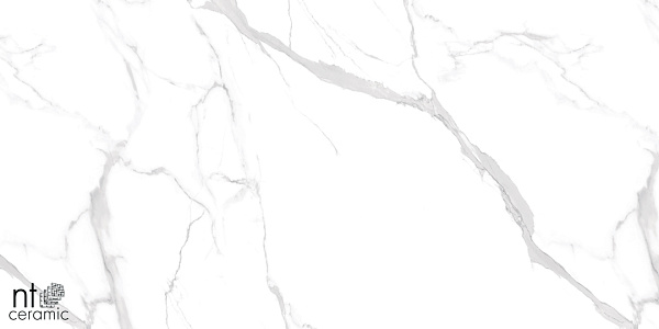 Керамогранит NT Ceramic Marmo Statuario Ultra White 60x120