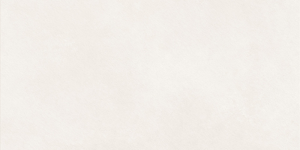 Керамогранит LCM Nevel White / Невел белый матовый 60x120