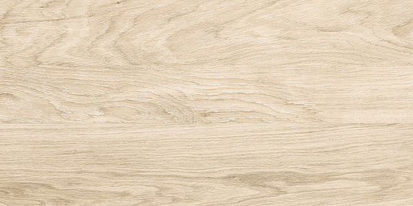 Керамогранит Alma Ceramica Brentwood GFA3060BWD04R матовый 30x60