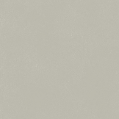 Керамогранит Италон Форум Слим Сильвер 80x80