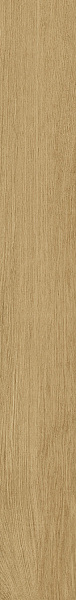 Керамогранит Italon Аура Классик Голд 20x160