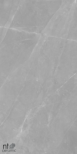 Керамогранит NT Ceramic Granite Limestone Grey Structura 60x120
