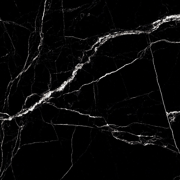 Керамогранит Staro Fossil Slate 60x60 High Gloss