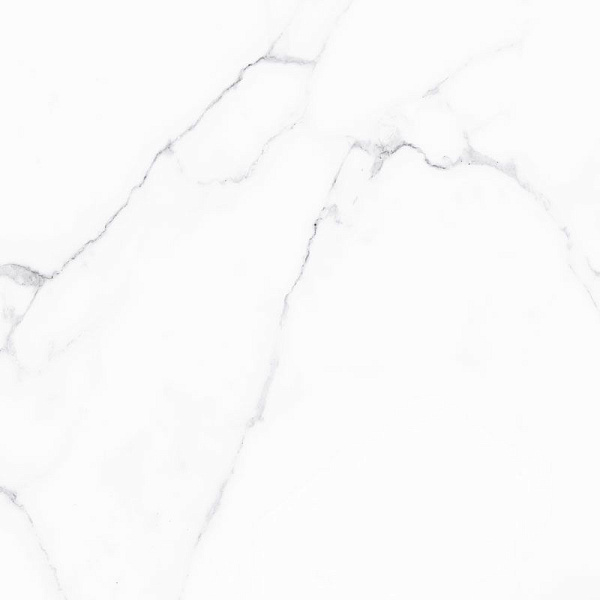 Керамогранит Alma Ceramica Carrara GFU04CRR00R матовый 60x60