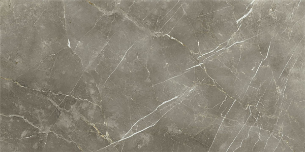 Керамогранит Italon Stellaris Tuscania Grey люкс 80x160