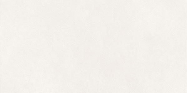 Керамогранит LCM Nevel White / Невел белый матовый 60x120