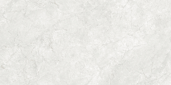Керамогранит Artkera Group Armonia white / Армония белый 60x120