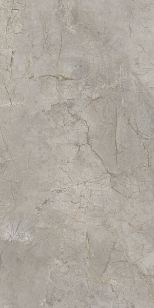 Керамогранит Keope Ceramiche Elements Lux Silver Grey 60x120 Lappato