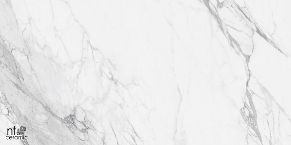 Керамогранит NT Ceramic Marmo Artic statuario  glossy 60x120