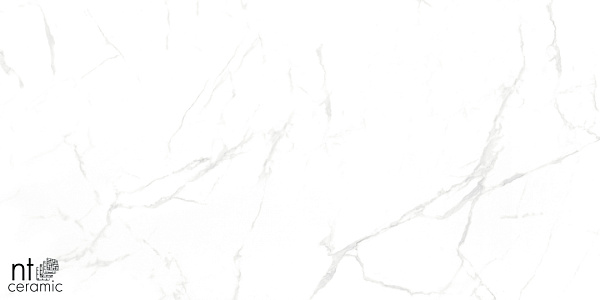 Керамогранит NT Ceramic Marmo Callacata carving 60x60