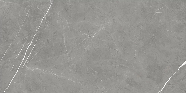 Керамогранит Atlas Concorde Forte Dei Marmi Elegant Grey cerato 60x120