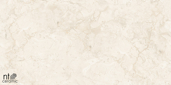 Керамогранит NT Ceramic Gravel Stone Almond Endless 60x120