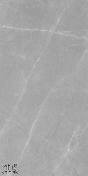 Керамогранит NT Ceramic Granite Limestone Grey Structura 60x120