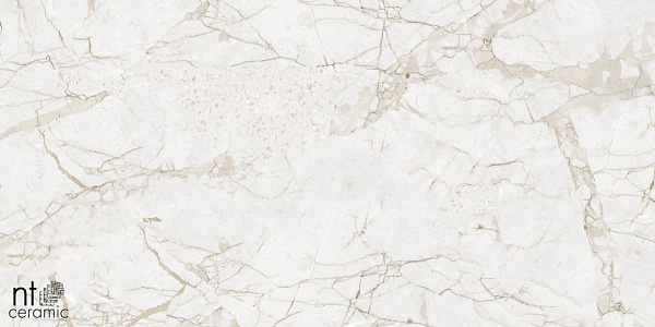 Керамогранит NT Ceramic Marmo Impero Grey carving 60x120