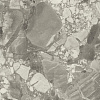 Керамогранит Atlas Concorde Forte Dei Marmi Ceppo Apuano Pearl matt 80x80