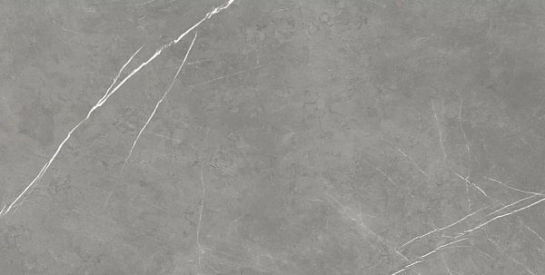 Керамогранит Atlas Concorde Forte Dei Marmi Elegant Grey matt 80x160