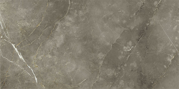 Керамогранит Italon Stellaris Tuscania Grey люкс 80x160