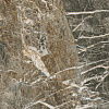 Керамогранит Atlas Concorde Forte Dei Marmi Quark Breccia di Caravaggio matt 80x80