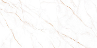 Керамогранит Alma Ceramica Neo Calacatta GFU60120NCL04R матовый 60x120