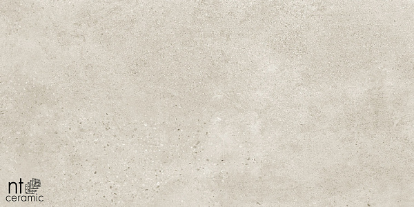Керамогранит NT Ceramic Fiji NTT9042 60x60
