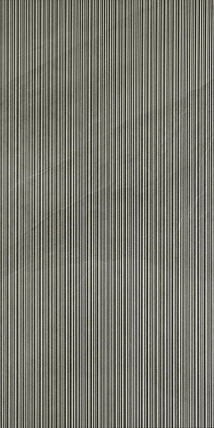 Керамогранит Italgraniti Shale Ash Ribbed 60x120