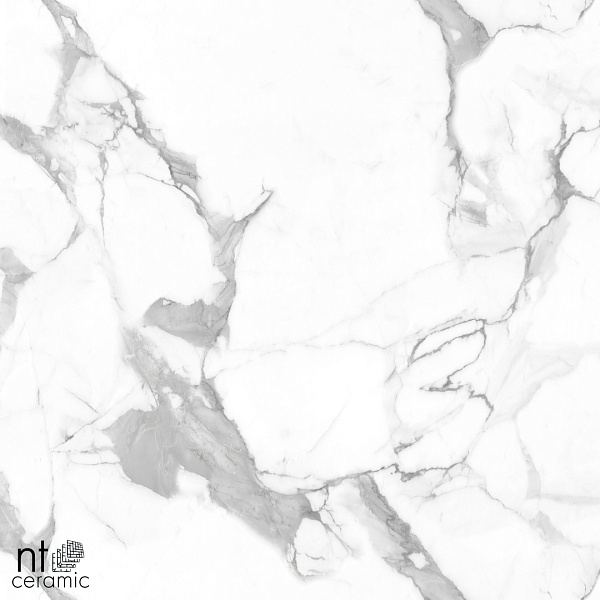 Керамогранит NT Ceramic Marmo Callacata Endless matt 60x60