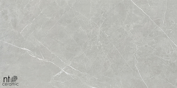 Керамогранит NT Ceramic Pietra NTT1101 60x120