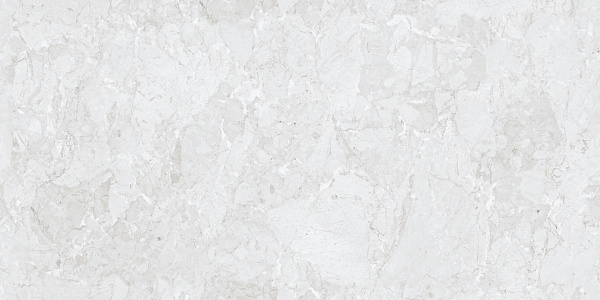 Керамогранит NT Ceramic Rockstar Orleans matt 60x120