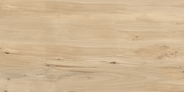 Керамогранит Buono Ceramica Forest Sweet Home matt 60x120