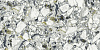 Керамогранит Atlas Concorde Forte Dei Marmi Quark Ceppi Apuani Forest matt 80x160