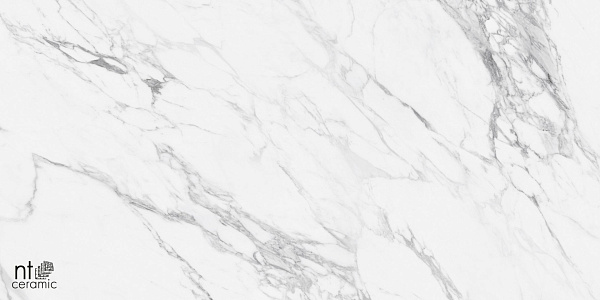 Керамогранит NT Ceramic Marmo Artic statuario carving 60x120