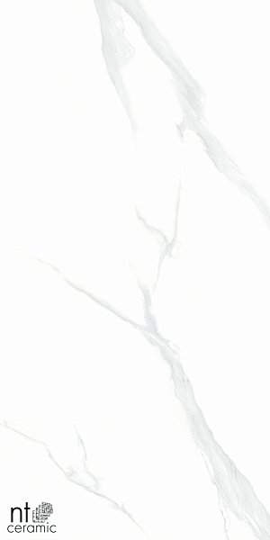 Керамогранит NT Ceramic Bright and Shiny Statuario 60x120