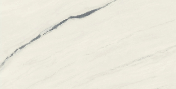 Керамогранит Atlas Concorde Forte Dei Marmi Panda White matt 80x160
