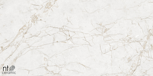 Керамогранит NT Ceramic Marmo Impero Grey carving 60x120