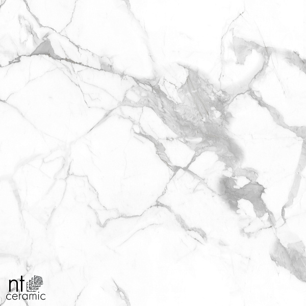 Керамогранит NT Ceramic Marmo Callacata Endless matt 60x60