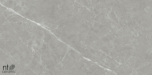 Керамогранит NT Ceramic Pietra NTT1102 60x60