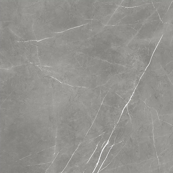 Керамогранит Atlas Concorde Forte Dei Marmi Elegant Grey matt 80x80