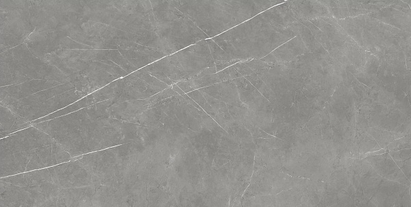 Керамогранит Atlas Concorde Forte Dei Marmi Elegant Grey matt 80x160
